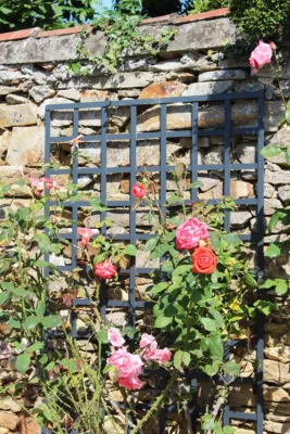 Treillis carré en pin anthracite 100 x h.197 cm