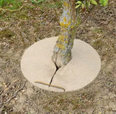 Paillage de chanvre forme ronde Ø20 cm