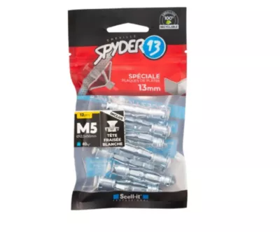 12 chevilles corps creux acier zingué Spyder M5 13mm + vis tête fraisée blanche