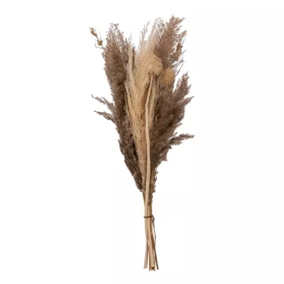 Bouquet de fleurs séchées pampa Ori H.58cm Atmosphera
