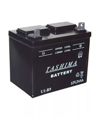 Batterie U1R9 12V 24A pour tondeuse autoportée
