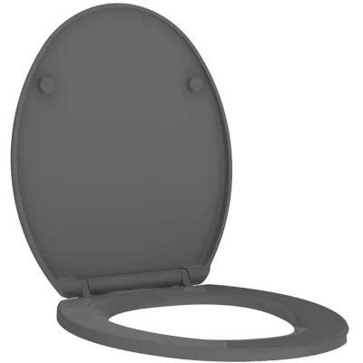 Abattant WC Allibert Kaleo en thermodur avec frein de chute anthracite