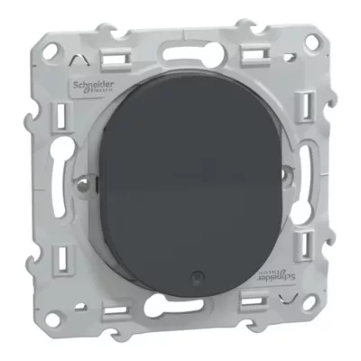 Interrupteur va-et-vient lumineux ou témoin Schneider Electric Ovalis anthracite