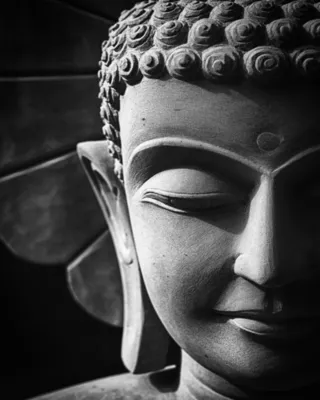 Affiche bouddha Dada Art l.40 x H.50 cm
