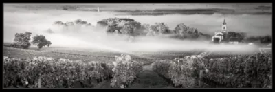 Toile imprimée Vignes montée sur châssis bois en pin 45x130 cm