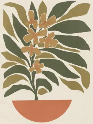 Affiche végétal dessin l.30 x H.40 cm Dada Art