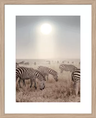 Image encadrée zèbres dans la savane l.40 h H.50 cm Dada Art