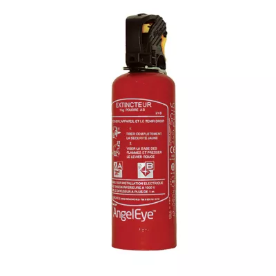 Extincteur poudre pression auxiliaire 1kg