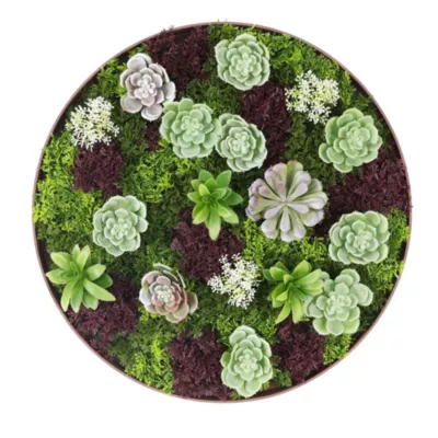 Cadre décoratif rond plantes artificielles ⌀.50 cm
