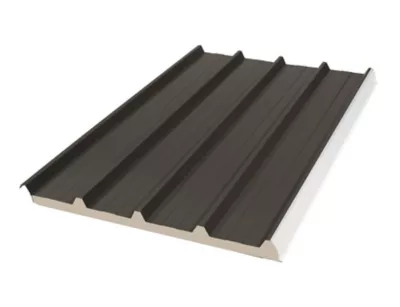 Panneau sandwich Bac Acier 300 x 100 cm