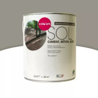 Peinture sol intérieur/extérieur Colours terre cendrée satin 2,5L
