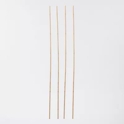 Tuteur bambou naturel Verve 240 cm