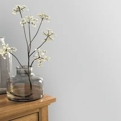 Papier peint vinyle sur intissé GoodHome Aune gris clair