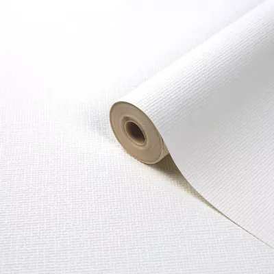 Papier peint vinyle sur intissé à peindre L.1000 x l.104 cm GoodHome Palmeri