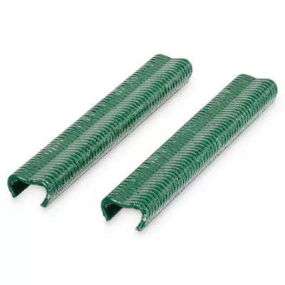 Boîte 1250 agrafes Blooma vertes 16 mm