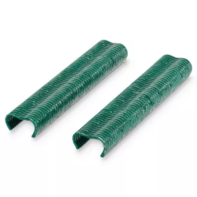Boîte 1000 agrafes Blooma vertes 20 mm