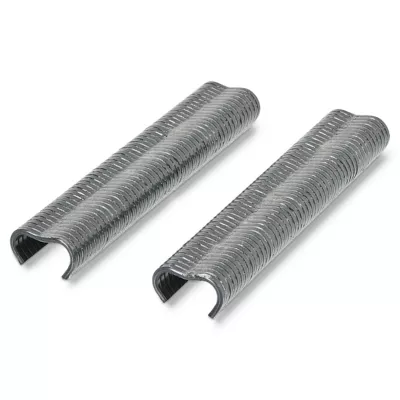 Boîte 1000 agrafes Blooma grises 20 mm