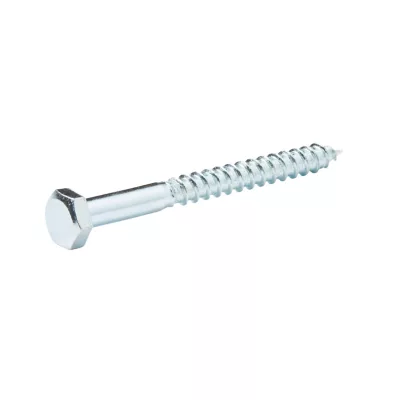 Tirefonds DIN 571 zingués 6x60 mm - 10 pièces