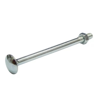 10 boulons tête ronde collet carré 8 x 60 mm
