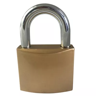 Cadenas Fer Ever strong 48 x 40 mm Gris