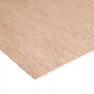 Panneau contreplaqué - 122 x 61 cm, ép.3,6 mm (vendu au panneau)