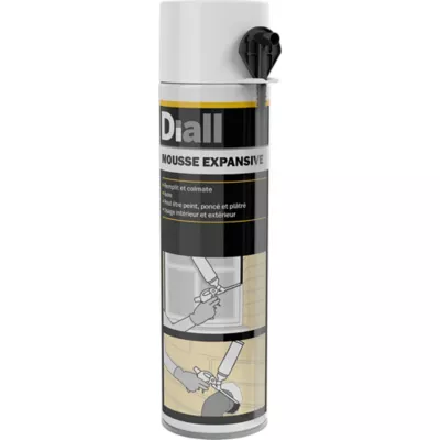 Mousse expansive Diall avec pistolet 500ml