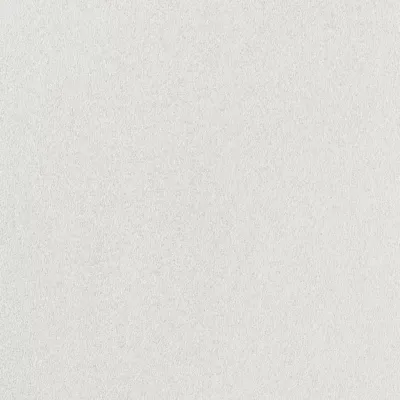 Fibre de verre lisse à peindre Diall 195g/m² L.15 m (Vendu au rouleau)