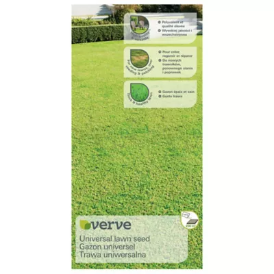 Semence gazon universel Verve 5kg 200m²
