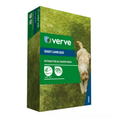 Gazon zone ombre Verve 1,25kg