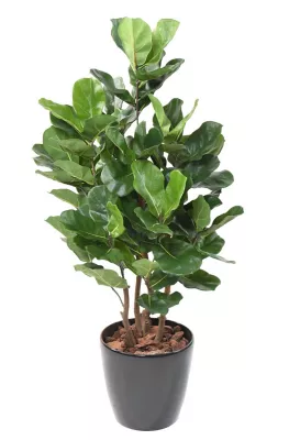 Lyrata royal buisson artificiel avec pot décoratif