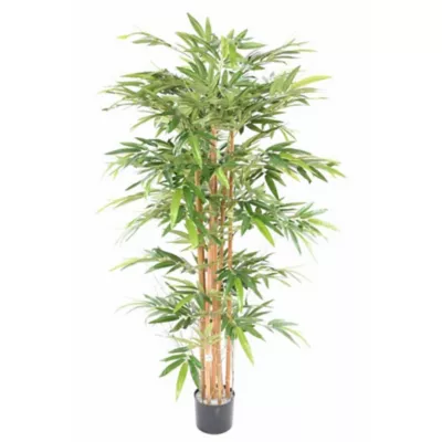 Bambou éco artificiel h.170/180 cm décoratif