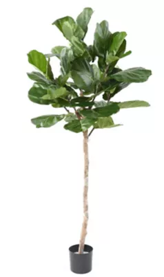 Lyrata tête sur tige artificiel plante déco