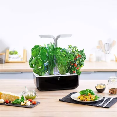 Potager d'intérieur Véritable® Smart Soft Black