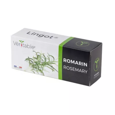 Lingot® Romarin pour potager Véritable®