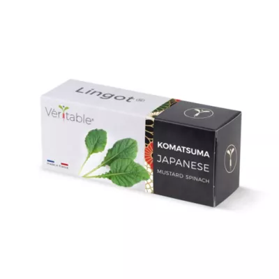 Lingot® pour potager d'intérieur Véritable® variété "Komatsuma" plantation toute l'année