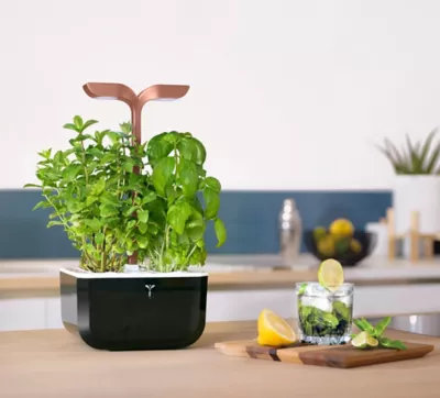 Potager d'intérieur Exky® Smart Copper