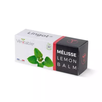 Lingot® pour potager d'intérieur Véritable® variété "Mélisse bio" plantation toute l'année