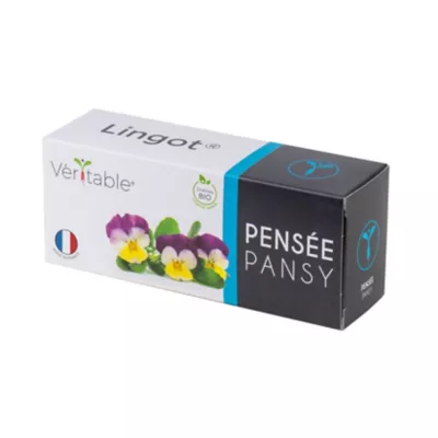Lingot® Pensée tricolore pour potager Véritable®