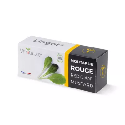 Lingot® pour potager d'intérieur Véritable® variété "Moutarde rouge bio" plantation toute l'année