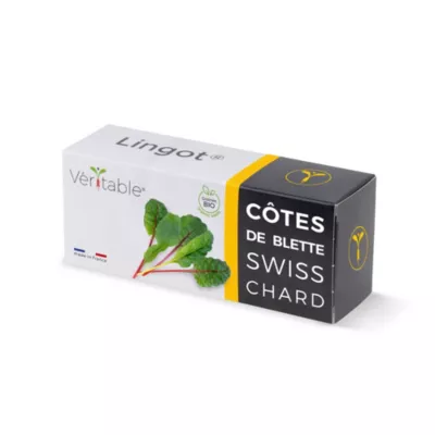 Lingot® pour potager d'intérieur Véritable® variété "Côtes de blette bio" plantation toute l'année