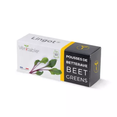 Lingot® pour potager d'intérieur Véritable® variété "Pousses de betterave bio" plantation toute l'année
