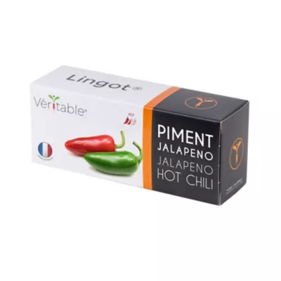 Lingot® pour potager d'intérieur Véritable® variété "Piment Jalapeno" plantation toute l'année