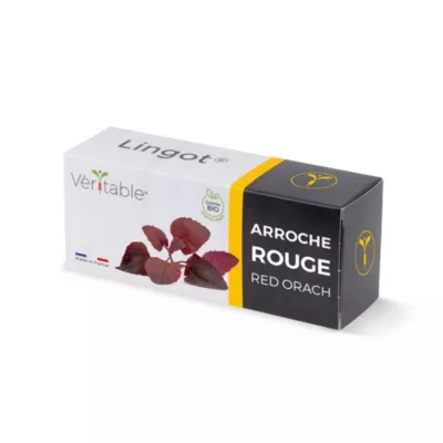 Lingot® pour potager d'intérieur Véritable® variété "Arroche rouge bio" plantation toute l'année