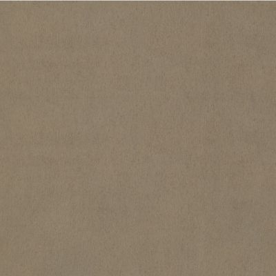 Papier peint vinyle sur intissé Rasch Fourrure uni or