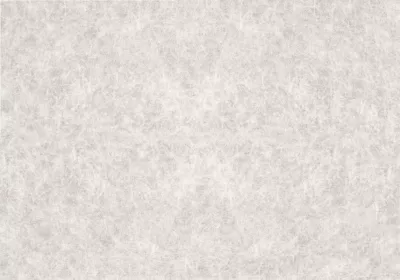 Film occultant statique pour vitre d-c-fix® Premium Papier de riz 1.5m x 0.90m