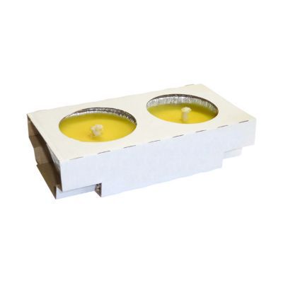 2 bougies maxi CP citronnelle