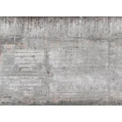 Décor mural intissé Design walls concrete wall - 5 lés