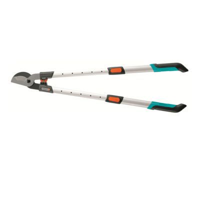 Coupe branches télescopique 650 B Comfort