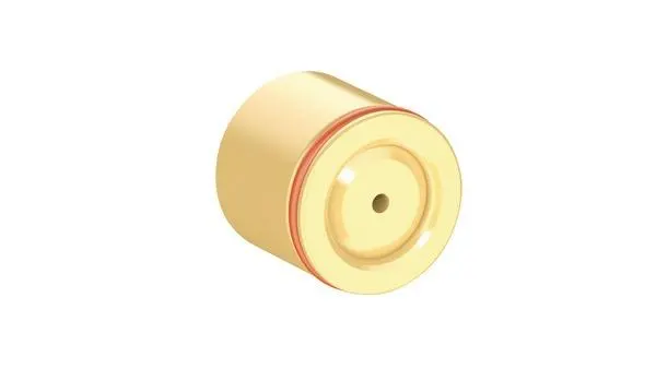 CLAPET ANTIRETOUR DW20 900020