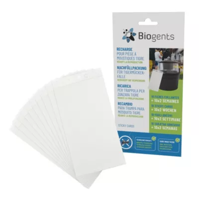 Sticky card vendu par 10 pour piège à moustiques BG-GAT